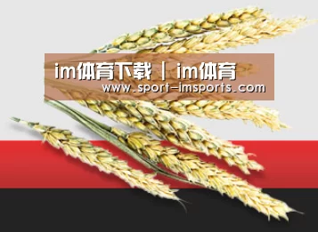 im体育下载 | im体育