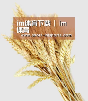 im体育下载 | im体育