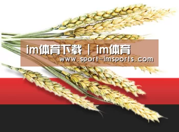 im体育下载 | im体育