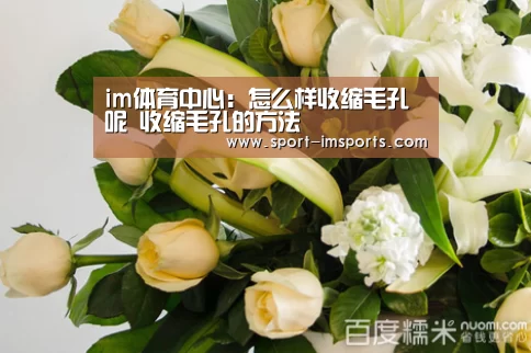 im体育中心:怎么样收缩毛孔呢 收缩毛孔的方法(图4) im体育