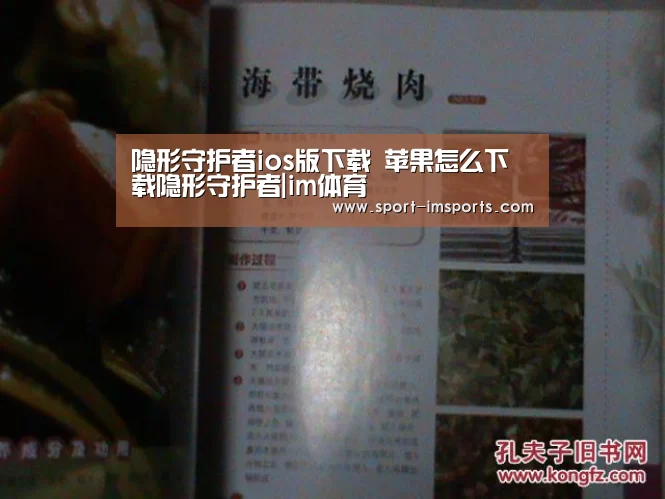 隐形守护者ios版下载 苹果怎么下载隐形守护者|im体育(图2) im体育下载